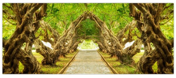 Kép - Plumeria élő alagútja (120x50 cm)