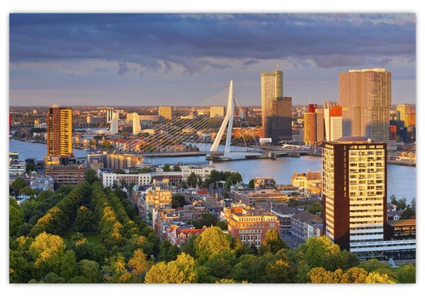 Kép - panoráma Rotterdam, Hollandia (90x60 cm)
