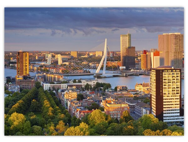Kép - panoráma Rotterdam, Hollandia (70x50 cm)