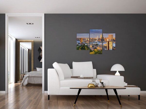Kép - panoráma Rotterdam, Hollandia (90x60 cm)