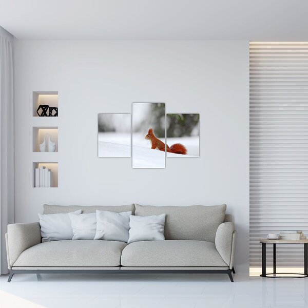 Egy mókus képe (90x60 cm)
