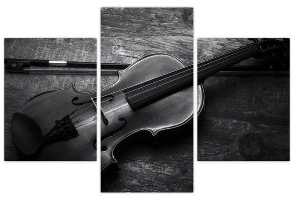 Kép - Viola (90x60 cm)