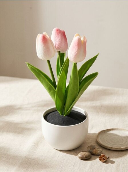 Sinsay - Dekoratív tulipánok cserépben - rózsaszín
