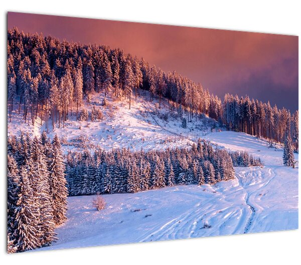 Egy kép egy téli tájról (90x60 cm)