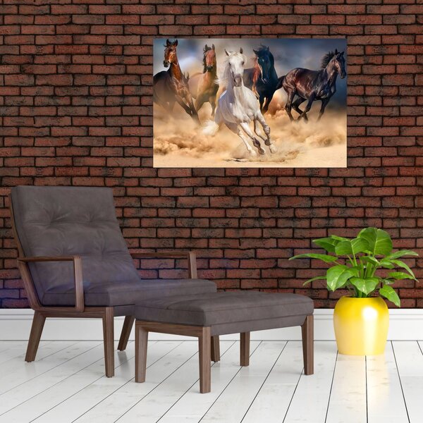 Kép - lovak a sivatagban (90x60 cm)