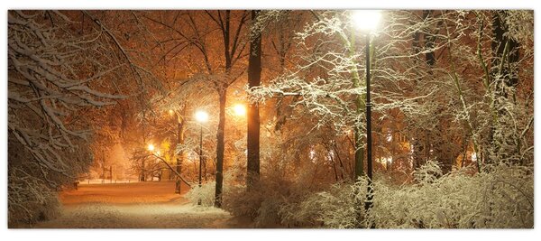 Kép - havas park (120x50 cm)
