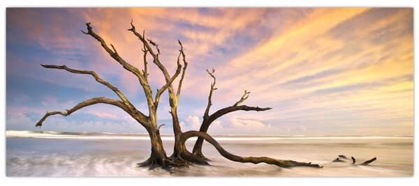 Egy fa képe az óceánban (120x50 cm)