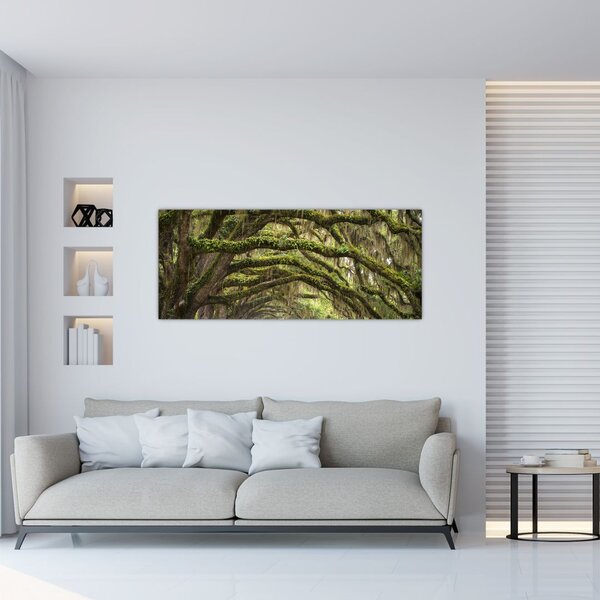 Kép - Oaks Avenue, Charleston, Dél-Karolina, Egyesült Államok (120x50 cm)