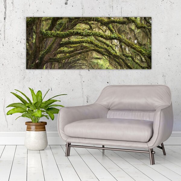 Kép - Oaks Avenue, Charleston, Dél-Karolina, Egyesült Államok (120x50 cm)
