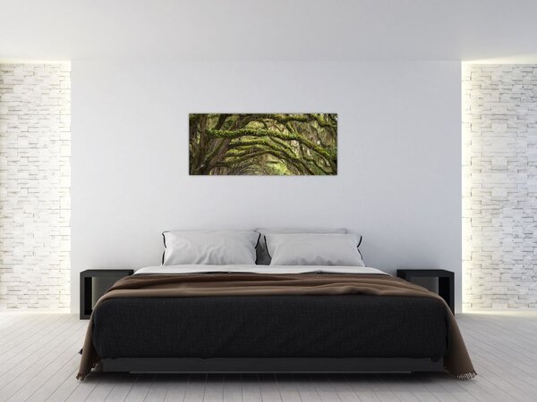 Kép - Oaks Avenue, Charleston, Dél-Karolina, Egyesült Államok (120x50 cm)