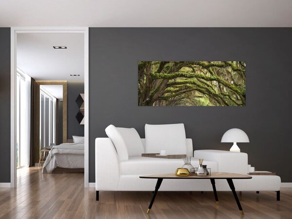 Kép - Oaks Avenue, Charleston, Dél-Karolina, Egyesült Államok (120x50 cm)