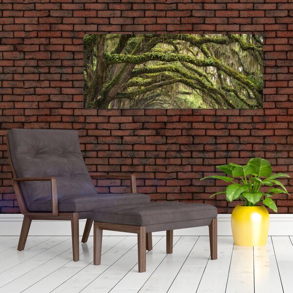 Kép - Oaks Avenue, Charleston, Dél-Karolina, Egyesült Államok (120x50 cm)