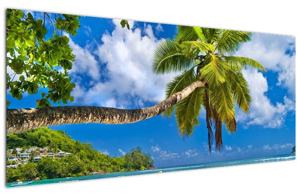 Kép - Seychelle-szigetek (120x50 cm)