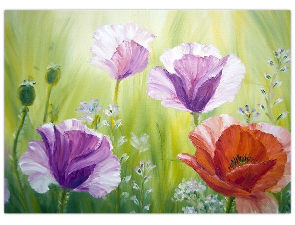 Kép - Pipacsok (70x50 cm)