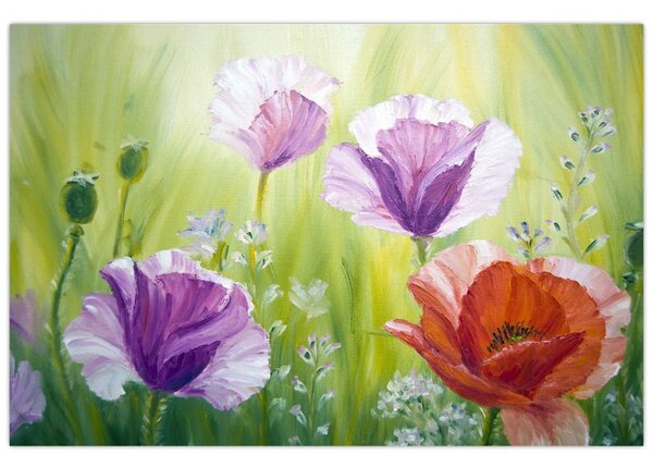 Kép - Pipacsok (90x60 cm)