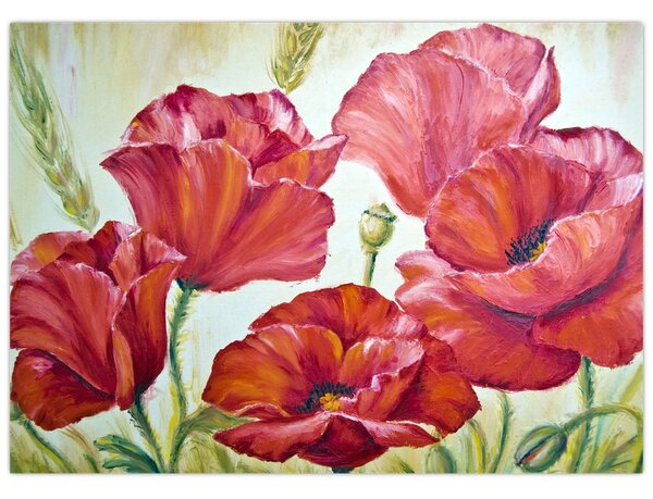 Kép - Pipacsvirágok (70x50 cm)