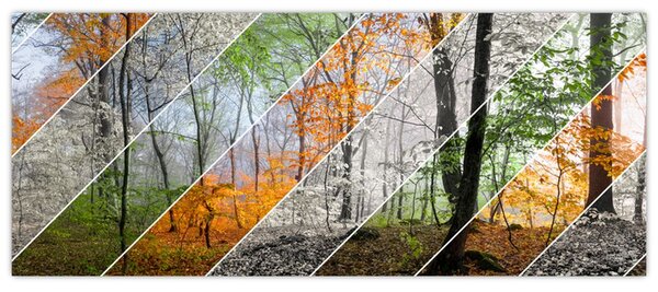 Kép - Változó évszakok (120x50 cm)