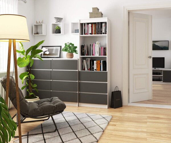 Polc R60 3SZ2P – fehér/grafit
