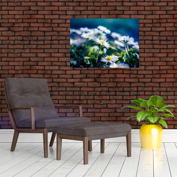 Százszorszépek képe (70x50 cm)