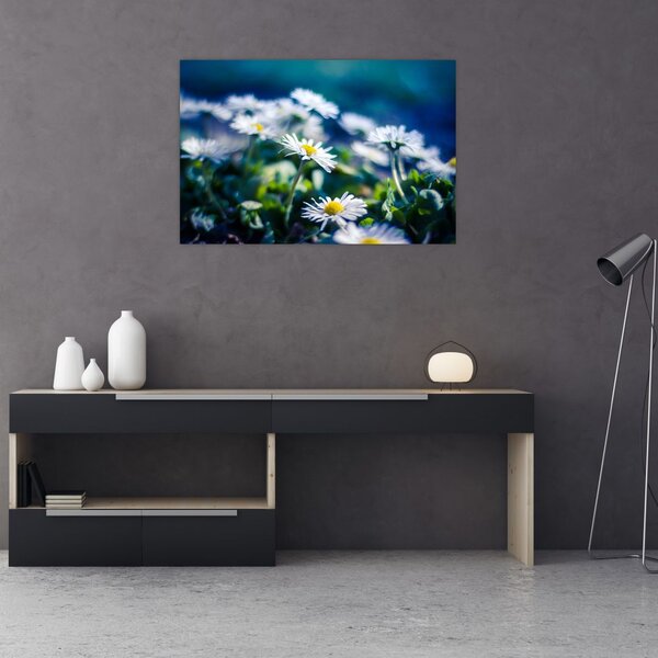Százszorszépek képe (90x60 cm)