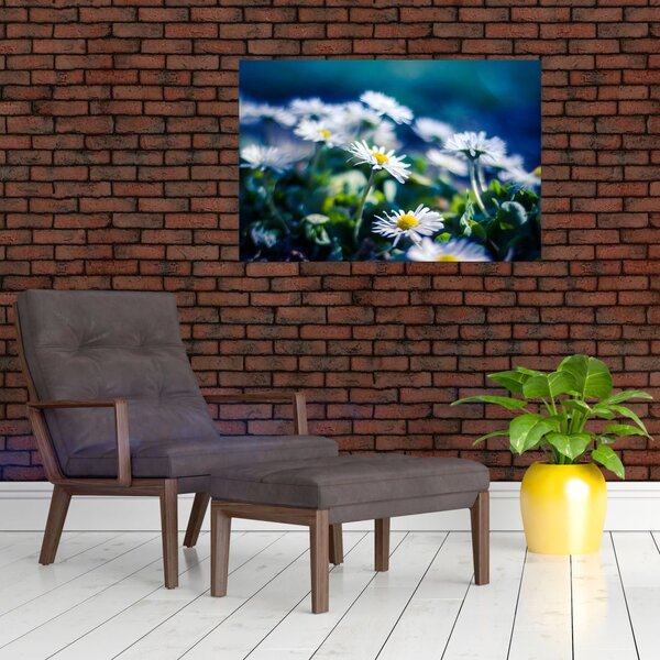 Százszorszépek képe (90x60 cm)