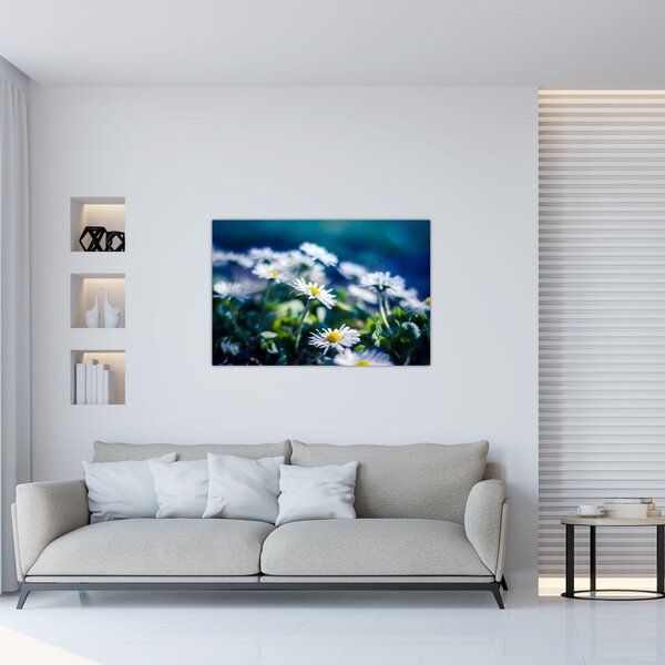 Százszorszépek képe (90x60 cm)