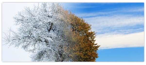 Kép - Évszakváltás (120x50 cm)