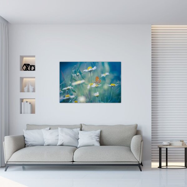 Kép - pillangó a százszorszépen (90x60 cm)