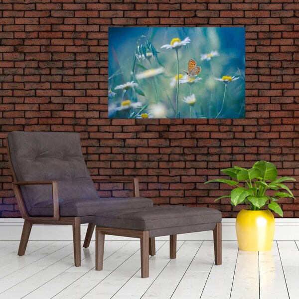 Kép - pillangó a százszorszépen (90x60 cm)