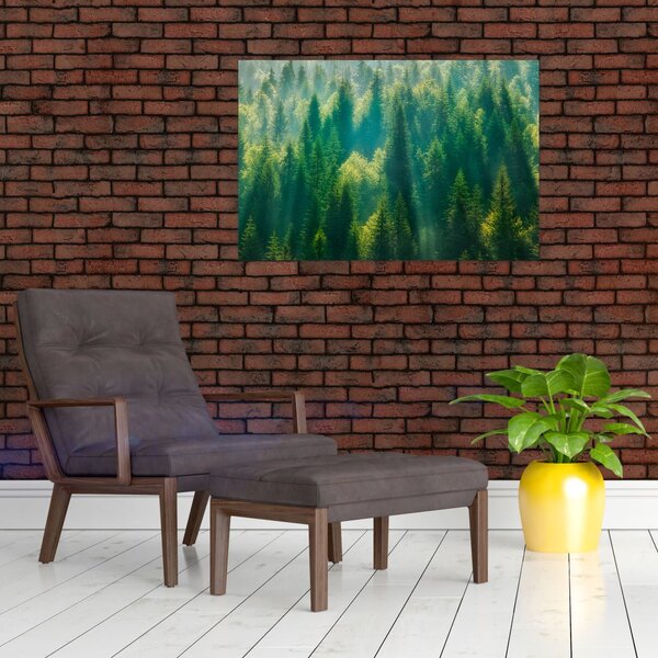Kép - fenyőerdő (90x60 cm)