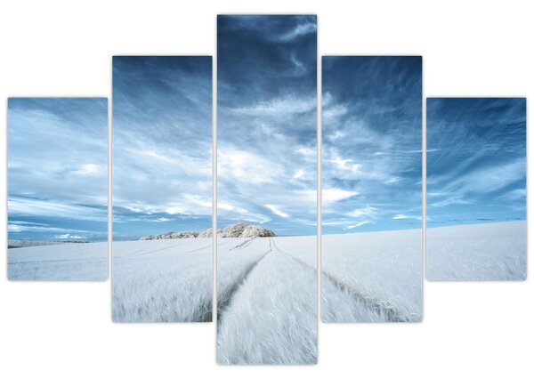 Mezőkép (150x105 cm)