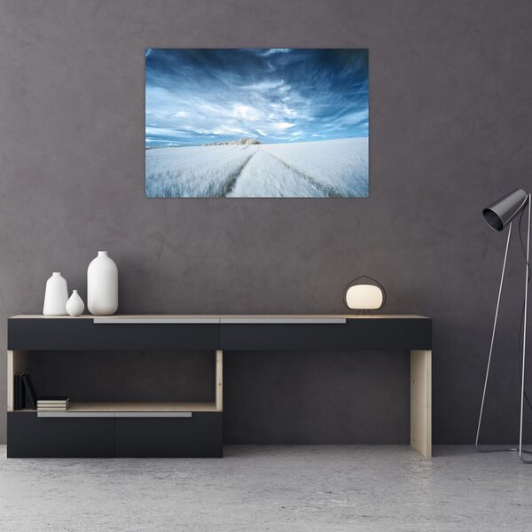 Mezőkép (90x60 cm)