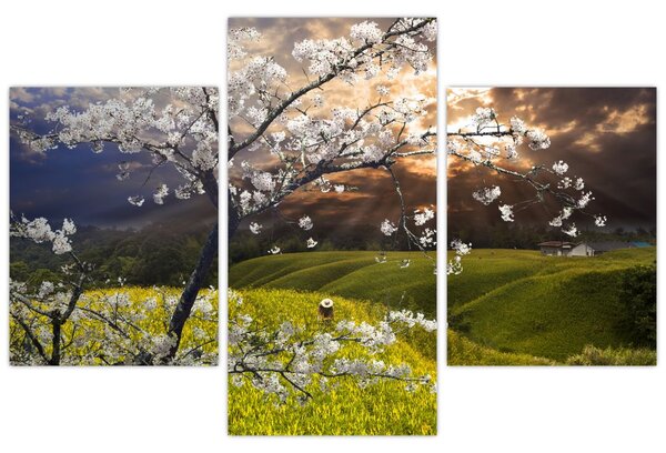 Kép - Virágzó fa az országban (90x60 cm)