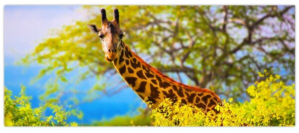 Egy kép egy zsiráfról Afrikában (120x50 cm)