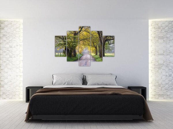 Kép - Smoky, hegység, Gatlinburg, USA (150x105 cm)