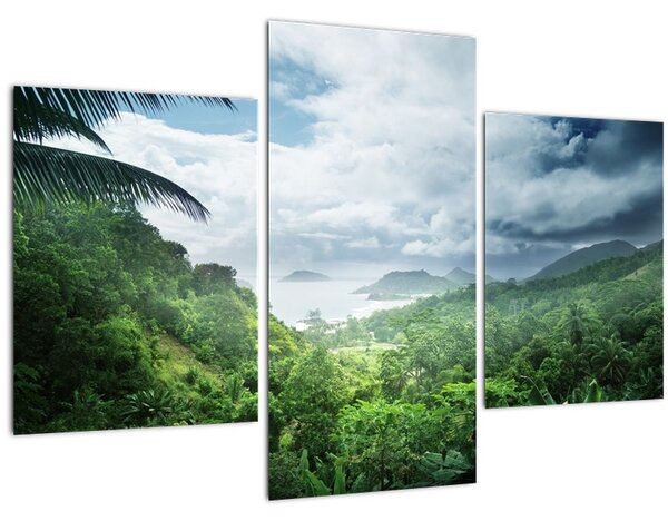 Kép - Seychelle-szigetek, dzsungel (90x60 cm)