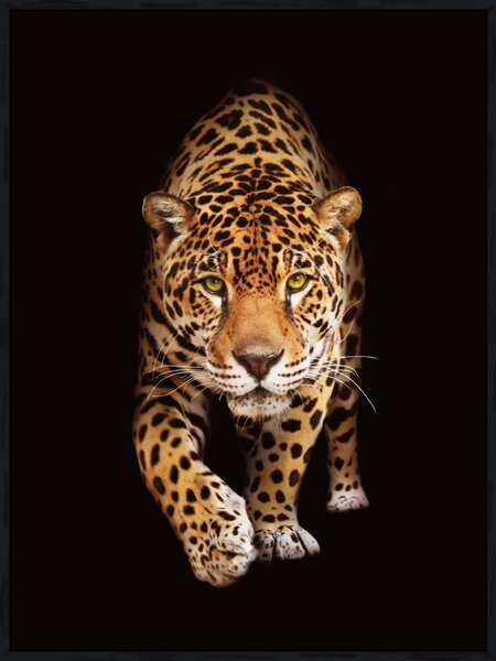 Levadászlak - keretezett vászonkép