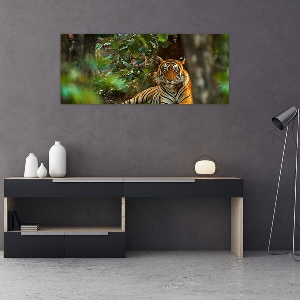 Pihenő tigris képe (120x50 cm)