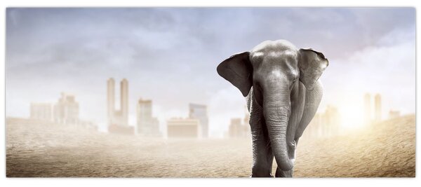 Kép - Elefánt egy nagyvárosban (120x50 cm)