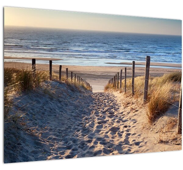 Kép - Út az északi-tengeri strandra, Hollandia (70x50 cm)