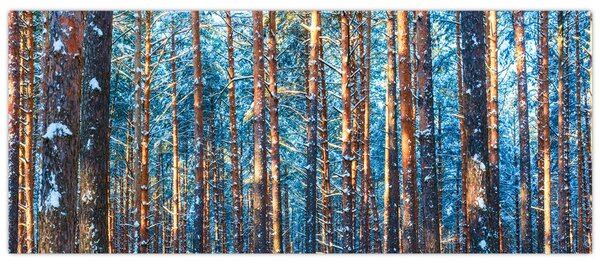 Kép - téli erdő (120x50 cm)