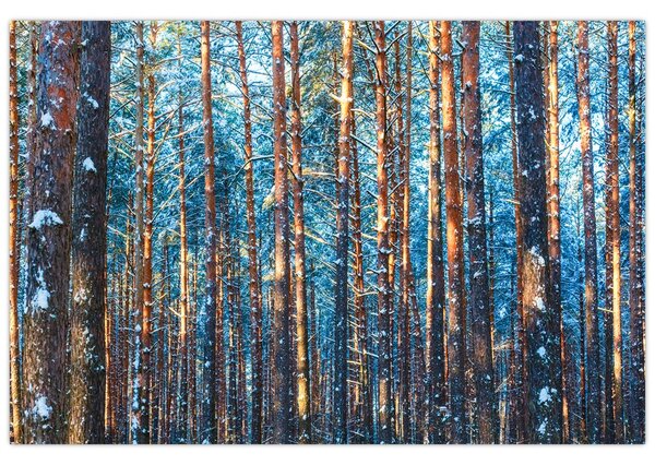 Kép - téli erdő (90x60 cm)