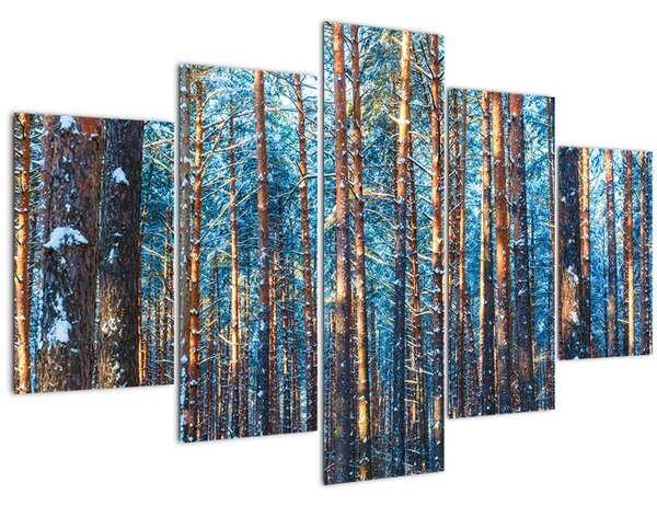 Kép - téli erdő (150x105 cm)