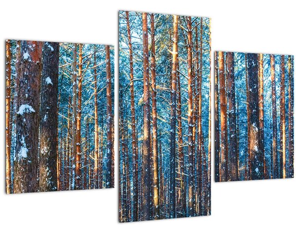 Kép - téli erdő (90x60 cm)