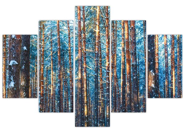 Kép - téli erdő (150x105 cm)