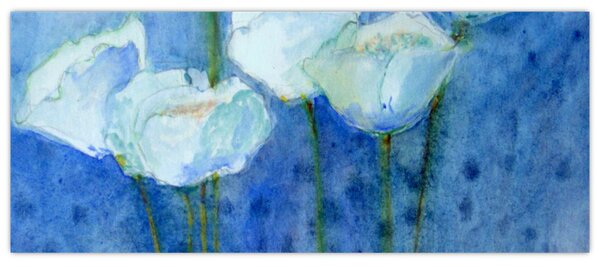 Kép - fehér tulipán (120x50 cm)