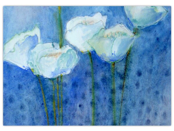 Kép - fehér tulipán (70x50 cm)