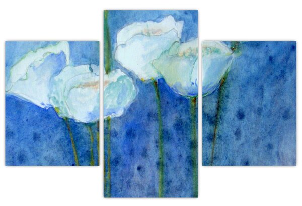 Kép - fehér tulipán (90x60 cm)