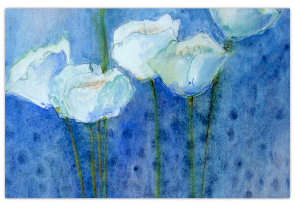 Kép - fehér tulipán (90x60 cm)