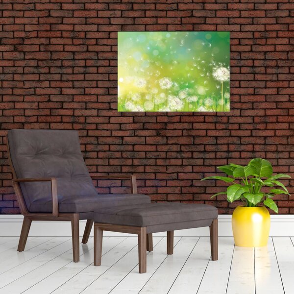 Kép - Virágozatlan pitypang (70x50 cm)